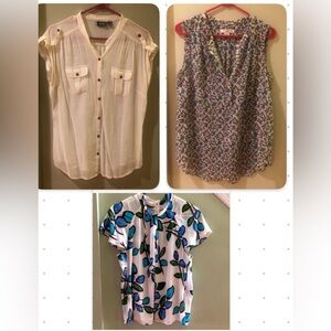 5 / $15 Bundle of 3 Women’s Petite Large blouses, Liz Claiborne and a.n.a